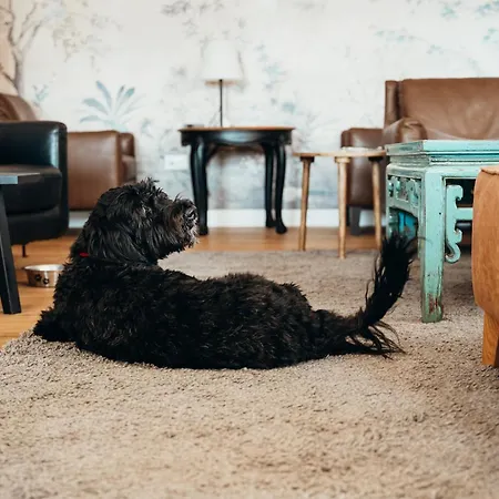 Adriana Zaton (Sibenik-Knin)