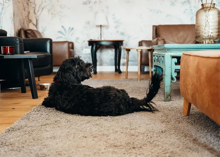 Adriana Zaton (Sibenik-Knin)